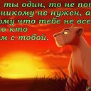 ���� *** ����� ***, ������, 52 ���� - ��������� 22 ������� 2017 � ������ ���� ����������