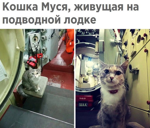   - 2  2017  21:05