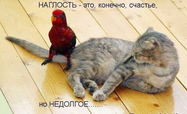� ����� �����! - 19 ������ 2017 � 09:23