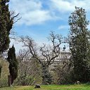  , , 60  -  23  2017    - 2017