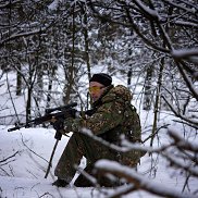 ����, 41 ���, �����