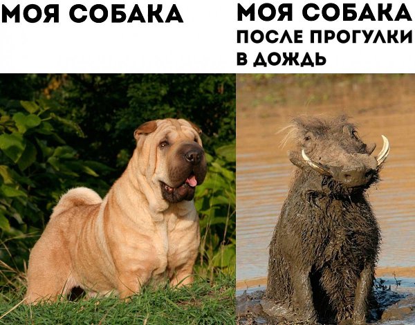 � ���� ��� ��������� ����� �������� �������������� ��������, ������� ������ �������� �������������� ... - 9