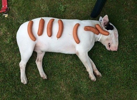 Майские праздники.Всем тепла