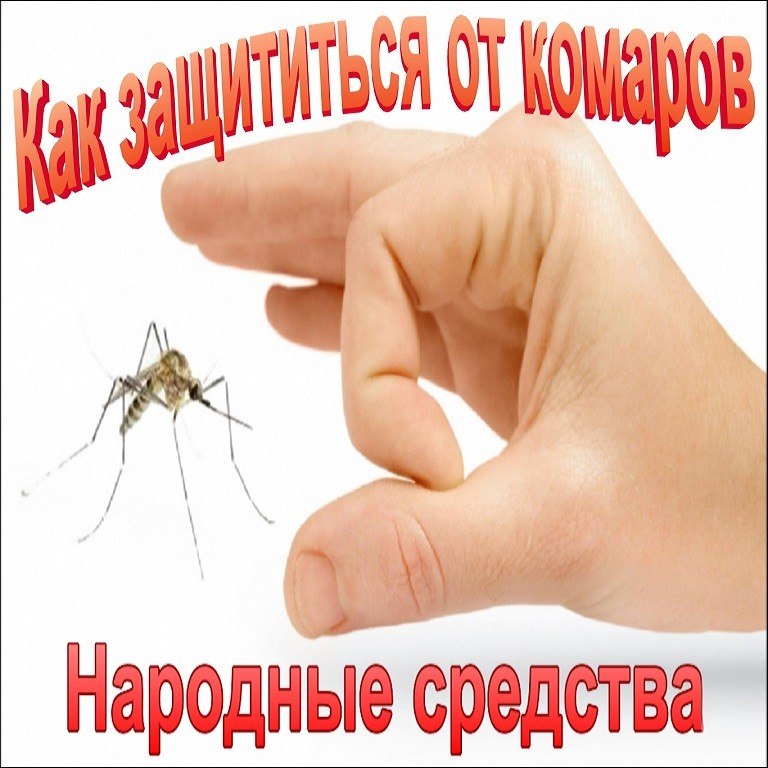   - 7  2017  06:03