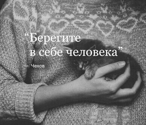       - 11  2017  19:37