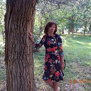 ���� ����, �������, 41 ��� - ��������� 5 ���� 2017 � ������ ���� ����������