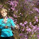 ���� �����, �����-�������, 56 ��� - ��������� 3 ��� 2017 � ������ ���� ����������