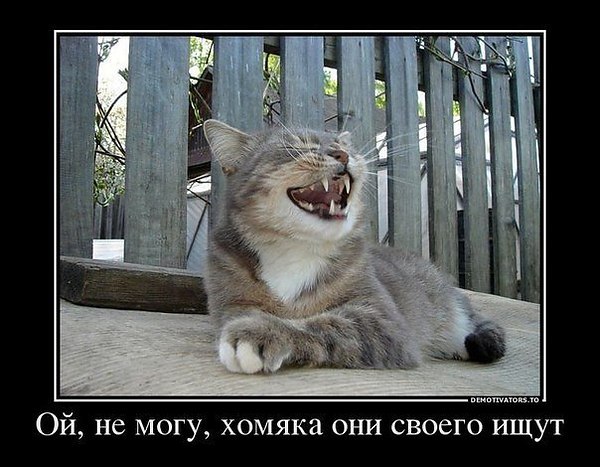    .     ))) - 37