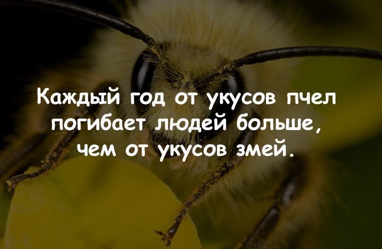  :    - 6  2017  20:37