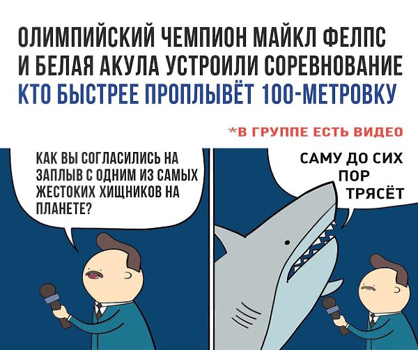    - 24  2017  17:02