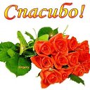 ���� ������, �������� - ��������� 10 ���� 2017 � ������ ���� ����������