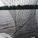 ���� ������� ����, �����-���������, 56 ��� - ��������� 6 ������� 2017 � ������ ���� ����������