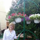  , --, 60  -  31  2017    