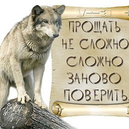 ���� ���������, ������, 48 ��� - ��������� 12 ������ 2017