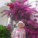 �����2014 �� ������� ���� ����������