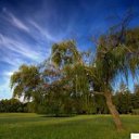 ���� ����, ������, 61 ��� - ��������� 5 ������� 2017 � ������ ������ ��������