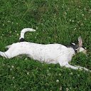 ����������... �� ������� �������