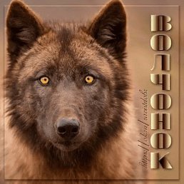 ���� �������, �����-���������, 59 ��� - ��������� 25 ������� 2017