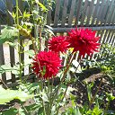 ���� �����, ����� - ��������� 3 ������ 2017 � ������ ���� ����������