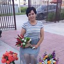  Elena, , 58  -  8  2017    