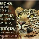 ���� Hov, ������ - ��������� 11 �������� 2017 � ������ ������ ��������