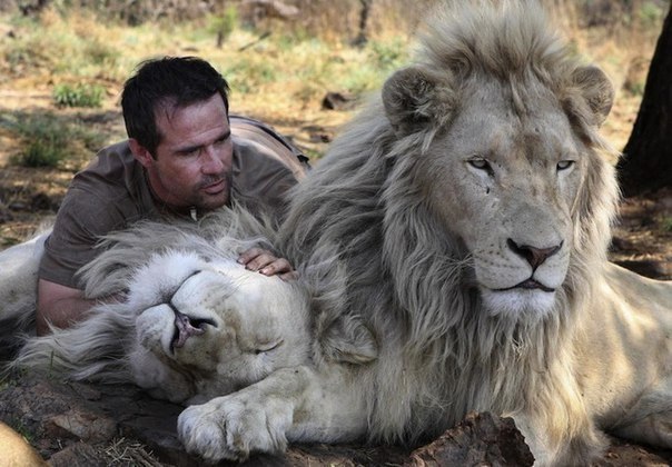    (Kevin Richardson),   " " - 4