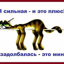  ,  -  2  2017    