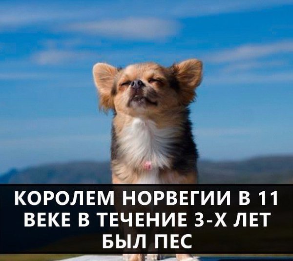 �� �� �������� ! - 22 ���� 2017 � 08:01
