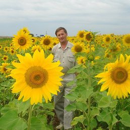 ��������� ���� �� ������ �� �����