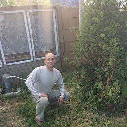 ���� ������, ���������, 56 ��� - ��������� 1 ���� 2017