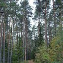 ���� �������, ����� - ��������� 17 �������� 2017 � ������ ���� ����������