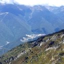  , , 51  -  5  2017    2017