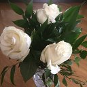 ���� Elina, ����, 50 ��� - ��������� 30 ������� 2017 � ������ ���� ����������