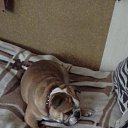 ���� Irina, ���������, 60 ��� - ��������� 6 �������� 2017 � ������ ���� ����������