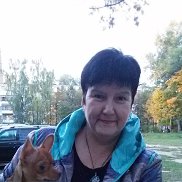 ����, 66 ���, ������