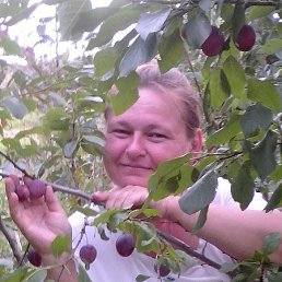 �������, ����������