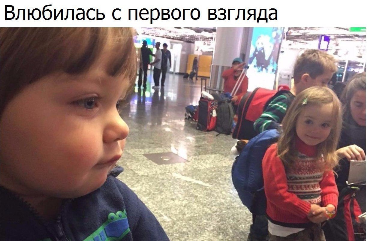  - 1  2017  03:31