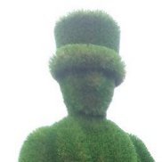 , 36 , 