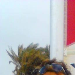 Franco, �����-���������, 39 ���