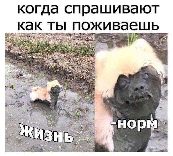  - 8  2017  03:40