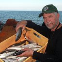 ���� ����, �������, 42 ���� - ��������� 28 ���� 2017 � ������ ������ ��������