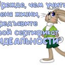  , , 39  -  11  2017    