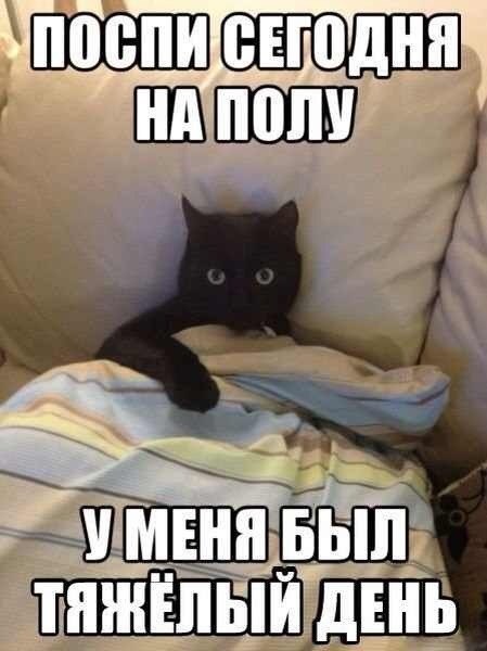  - 7  2017  22:59