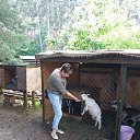 ���� ���������, ������, 65 ��� - ��������� 25 ���� 2017 � ������ ���������� ������