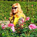 ���� ���� (�� �������� � ��������), �����-��������� - ��������� 10 ������ 2017 � ������ ���� ����������