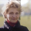 ���� ���������, ������, 49 ��� - ��������� 26 ���� 2017 � ������ ���� ����������