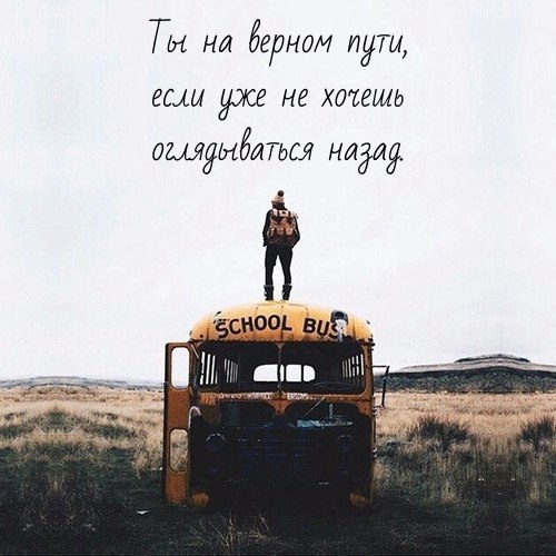   -  ,  -  - 8  2017  09:16