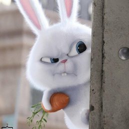 ���� ���������, ���������, 47 ��� - ��������� 13 �������� 2017