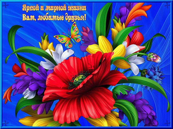 ���� ��������! ������� ���� ���� ��������� �������� � ������ � ���� � �����.� ���� �������� ...