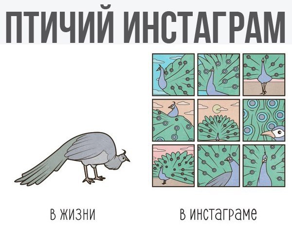    - 8  2017  18:01